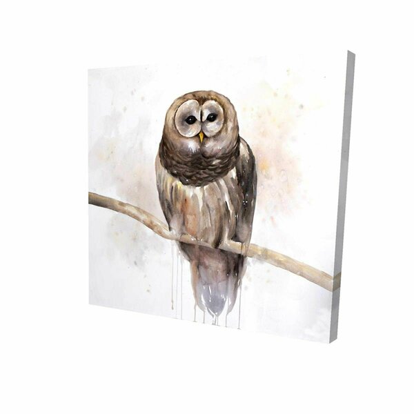 Fondo 16 x 16 in. Barred Owl-Print on Canvas FO2790775